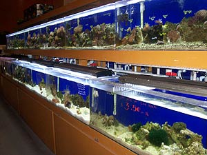 000_0374.jpg